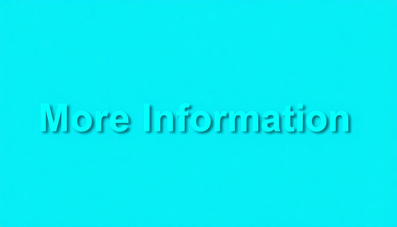 Key Insights on Accessing More Information: Strategies for Better Understanding