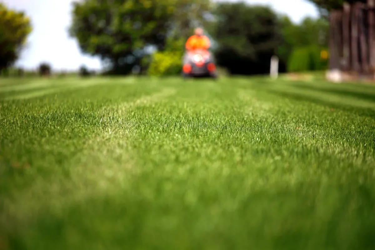 Expert Landscaping Services in Rosemount to Enhance Your Home’s Beauty